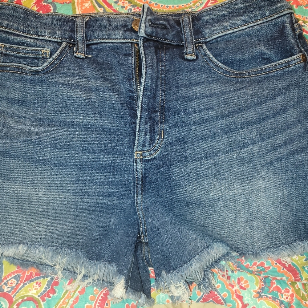 Lauren Conrad shorts